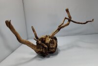 Talawa wood Teawood Aquarienwurzel TR7 39x15x20 cm