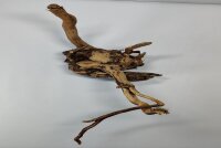 Talawa wood Teawood Aquarienwurzel TR7 39x15x20 cm
