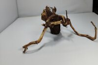 Talawa wood Teawood Aquarienwurzel TR8 ca 27x21x8 cm
