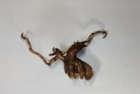Talawa wood Teawood Aquarienwurzel TR8 ca 27x21x8 cm