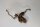 Talawa wood Teawood Aquarienwurzel TR8 ca 27x21x8 cm