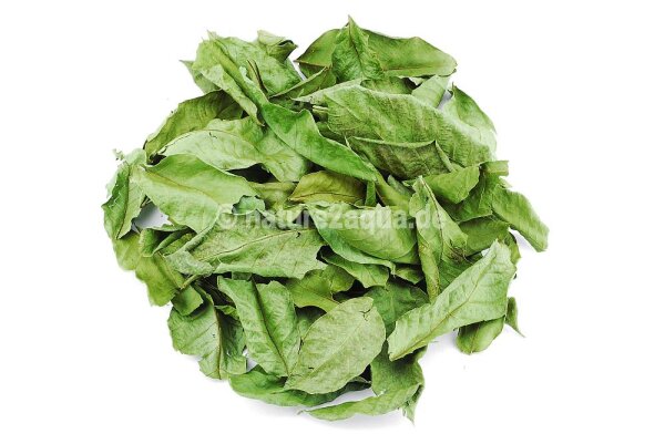 Walnussbl&auml;tter f&uuml;r Aquarium 20 g