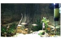 Ziss Aqua ZB-200 Bubble Bio kleiner luftbetriebener...