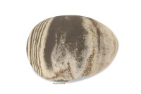 Igluh&ouml;hle oval Eiform f&uuml;r Dornaugen, kleine Welse oder Apistogramma ca. 7x10 cm