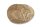 Igluh&ouml;hle oval Eiform f&uuml;r Dornaugen, kleine Welse oder Apistogramma ca. 7x10 cm