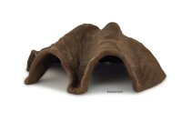Igluh&ouml;hle aus Ton Tridacna - M&ouml;rdermuschel -...