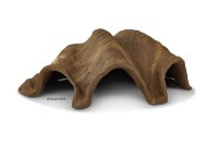 Igluh&ouml;hle aus Ton Tridacna - M&ouml;rdermuschel - kleinere Eing&auml;nge