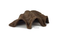 Igluh&ouml;hle aus Ton Tridacna - M&ouml;rdermuschel -...