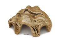 Igluh&ouml;hle aus Ton Tridacna - M&ouml;rdermuschel - kleinere Eing&auml;nge