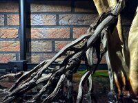 Kokosrispe als Aquarienwurzel f&uuml;r Biotopaquaristik