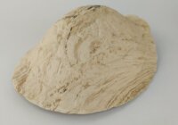 AquaKeramik Turtle-Iglu Schildkr&ouml;teniglu Morla aus Ton Surprise