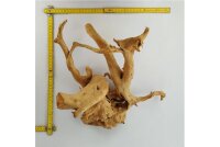 Spiderwood Aquarienwurzel Moorwurzel SR1 ca. 35x31x20 cm