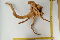 Spiderwood Aquarienwurzel Moorwurzel SR2 ca. 48x34x18 cm