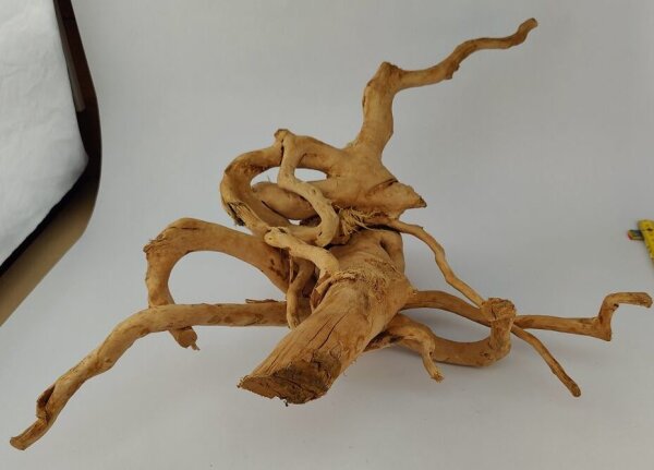 Spiderwood Aquarienwurzel Moorwurzel SR4 ca. 55x35x21 cm