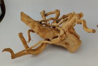 Spiderwood Aquarienwurzel Moorwurzel SR4 ca. 55x35x21 cm