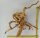Spiderwood Aquarienwurzel Moorwurzel SR4 ca. 55x35x21 cm