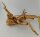 Spiderwood Aquarienwurzel Moorwurzel SR4 ca. 55x35x21 cm