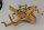 Spiderwood Aquarienwurzel Moorwurzel SR4 ca. 55x35x21 cm