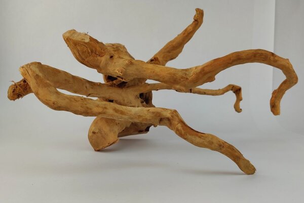 Spiderwood Aquarienwurzel Moorwurzel SR10 ca. 44x37x22 cm