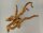 Spiderwood Aquarienwurzel Moorwurzel SR10 ca. 44x37x22 cm