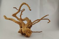 Spiderwood Aquarienwurzel Moorwurzel SR55 ca. 45x42x27 cm