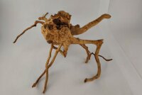 Spiderwood Aquarienwurzel Moorwurzel SR55 ca. 45x42x27 cm