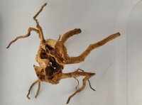 Spiderwood Aquarienwurzel Moorwurzel SR55 ca. 45x42x27 cm