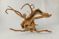 Spiderwood Aquarienwurzel Moorwurzel SR55 ca. 45x42x27 cm