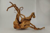 Spiderwood Aquarienwurzel Moorwurzel SR55 ca. 45x42x27 cm