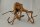 Spiderwood Aquarienwurzel Moorwurzel SR55 ca. 45x42x27 cm