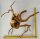 Spiderwood Aquarienwurzel Moorwurzel SR55 ca. 45x42x27 cm
