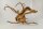 Spiderwood Aquarienwurzel Moorwurzel SR55 ca. 45x42x27 cm
