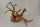 Spiderwood Aquarienwurzel Moorwurzel SR55 ca. 45x42x27 cm