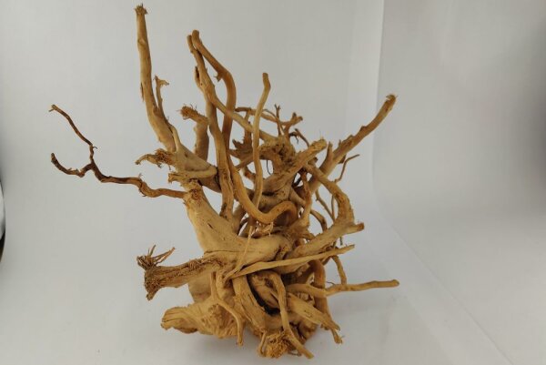Spiderwood Aquarienwurzel Moorwurzel SR56 ca. 36x40x24 cm