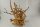 Spiderwood Aquarienwurzel Moorwurzel SR56 ca. 36x40x24 cm