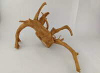 Spiderwood Aquarienwurzel Moorwurzel SR57 ca. 45x35x27 cm