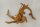 Spiderwood Aquarienwurzel Moorwurzel SR57 ca. 45x35x27 cm