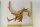 Spiderwood Aquarienwurzel Moorwurzel SR57 ca. 45x35x27 cm