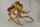 Spiderwood Aquarienwurzel Moorwurzel SR58 ca. 41x40x23 cm