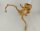 Spiderwood Aquarienwurzel Moorwurzel SR58 ca. 41x40x23 cm