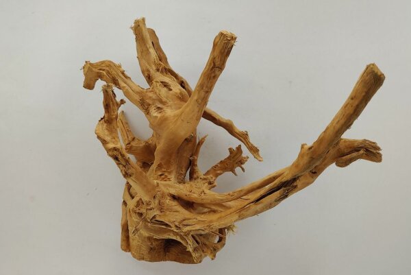 Spiderwood Aquarienwurzel Moorwurzel SR59 ca. 40x34x23 cm