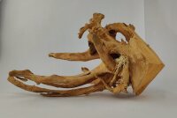 Spiderwood Aquarienwurzel Moorwurzel SR59 ca. 40x34x23 cm