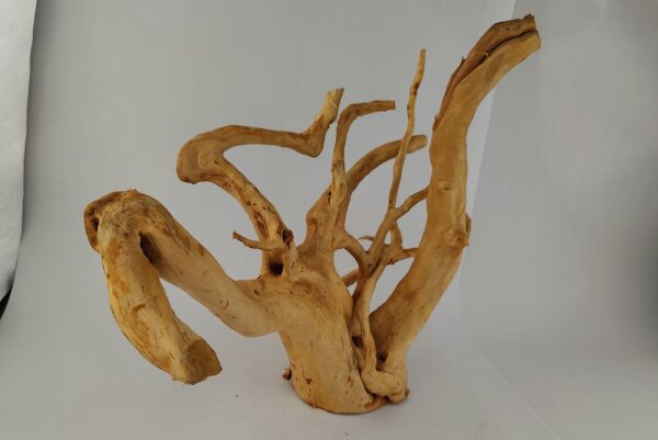 Spiderwood Aquarienwurzel Moorwurzel SR61 ca. 51x39x22 cm