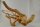 Spiderwood Aquarienwurzel Moorwurzel SR61 ca. 51x39x22 cm