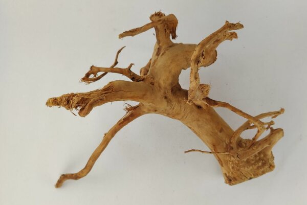 Spiderwood Aquarienwurzel Moorwurzel SR62 ca. 40x33x21 cm