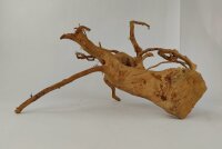 Spiderwood Aquarienwurzel Moorwurzel SR62 ca. 40x33x21 cm