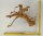 Spiderwood Aquarienwurzel Moorwurzel SR62 ca. 40x33x21 cm