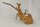 Spiderwood Aquarienwurzel Moorwurzel SR62 ca. 40x33x21 cm