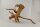 Spiderwood Aquarienwurzel Moorwurzel SR62 ca. 40x33x21 cm