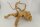 Spiderwood Aquarienwurzel Moorwurzel SR63 ca. 43x36x23 cm